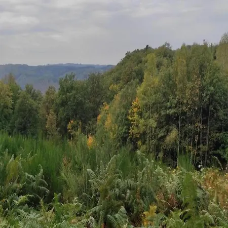 בקתה Sympathic Not Far From En Ardennes לה רושה - אן - ארדן