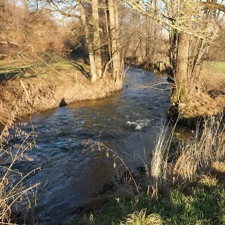 Sympathic Not Far From En Ardennes *