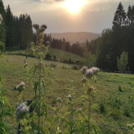 Шале Sympathic Not Far From En Ardennes