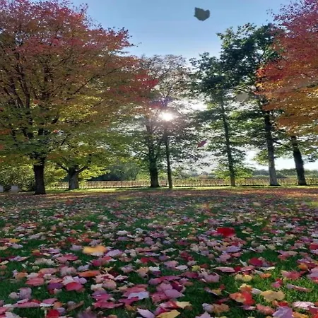 Sympathic Not Far From En Ardennes シャレー