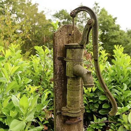 Sympathic Not Far From En Ardennes בקתה לה רושה - אן - ארדן