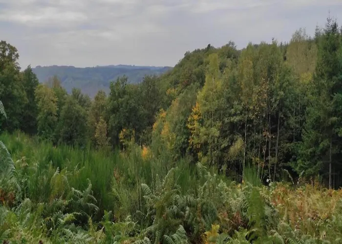 Dağ evi Sympathic Not Far From En Ardennes La-Roche-en-Ardenne