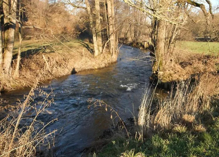 Sympathic Not Far From En Ardennes *