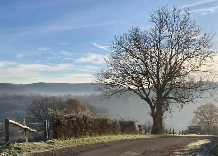 Sympathic Not Far From En Ardennes La-Roche-en-Ardenne