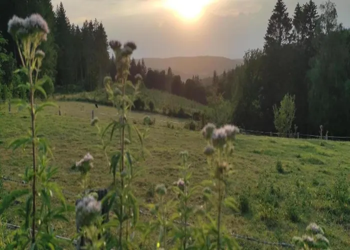 Dağ evi Sympathic Not Far From En Ardennes