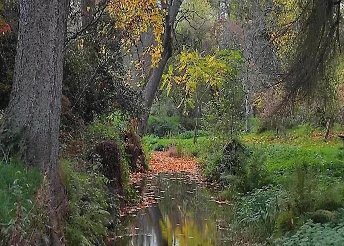 Dağ evi Sympathic Not Far From En Ardennes La-Roche-en-Ardenne