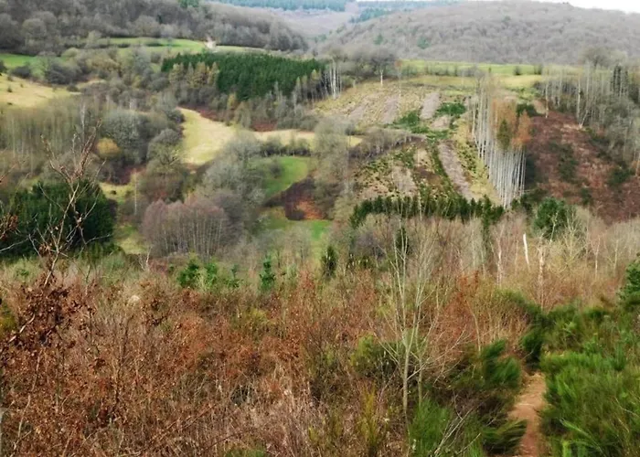 Sympathic Not Far From En Ardennes *