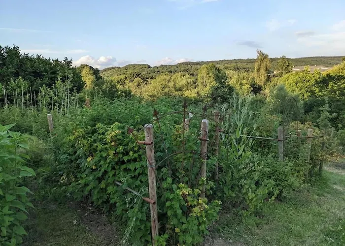 Sympathic Not Far From En Ardennes * La Roche-en-Ardenne