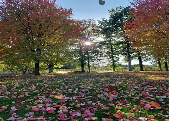 Sympathic Not Far From En Ardennes Chalet