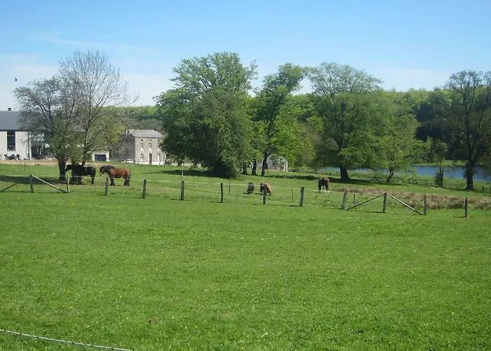 Sympathic Not Far From En Ardennes * La Roche-en-Ardenne